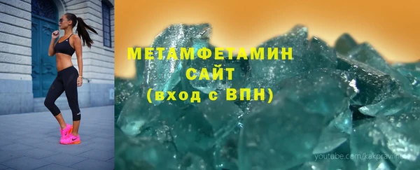 прущие грибы Ельня
