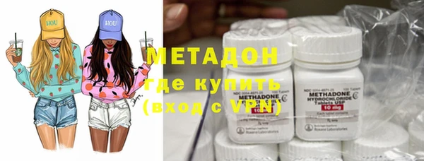 прущие грибы Ельня