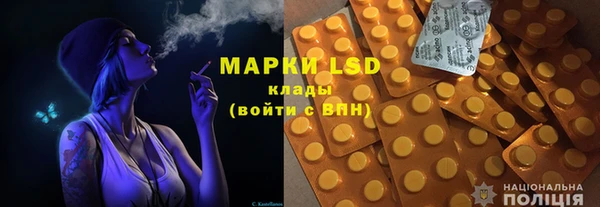 прущие грибы Ельня