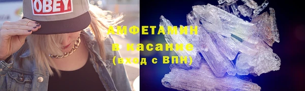 прущие грибы Ельня