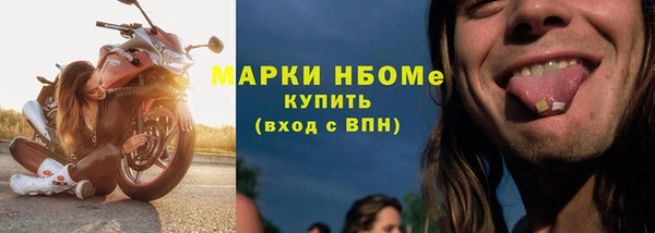 прущие грибы Ельня