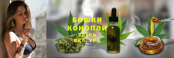 spice Елабуга