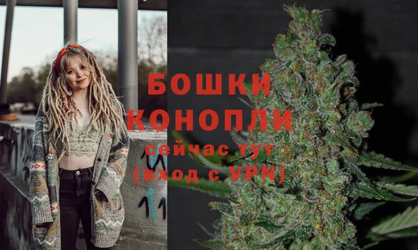 ECSTASY Елизово