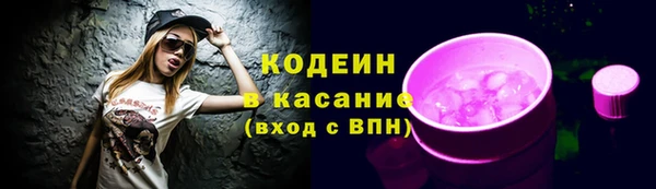 ECSTASY Елизово