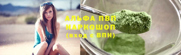 прущие грибы Ельня