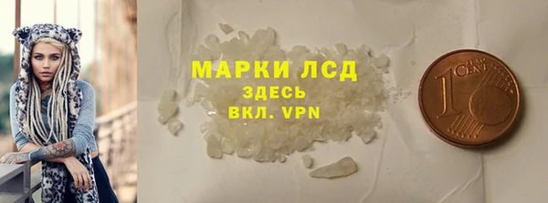 прущие грибы Ельня