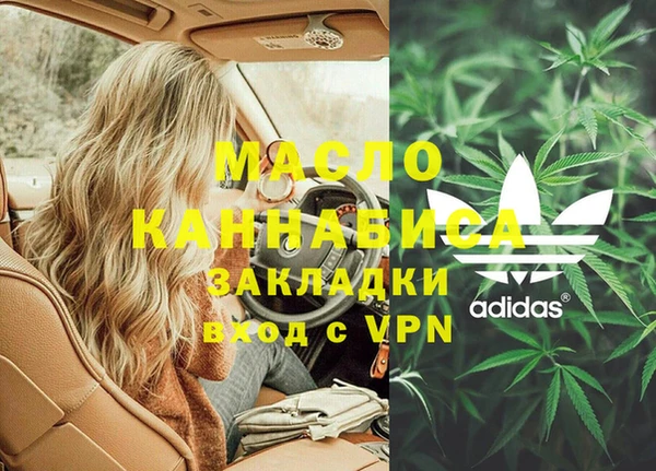прущие грибы Ельня