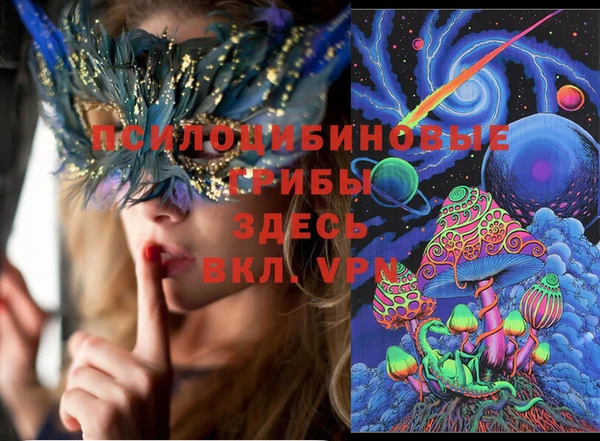 прущие грибы Ельня