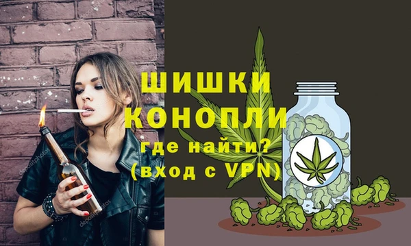 прущие грибы Ельня