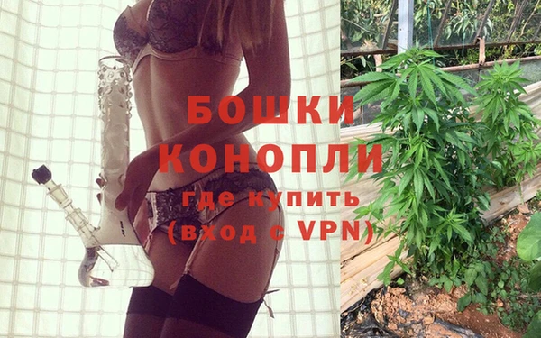 spice Елабуга
