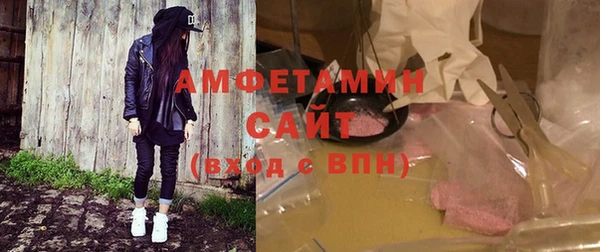 прущие грибы Ельня