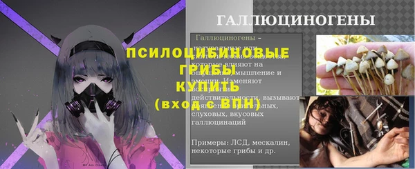прущие грибы Ельня